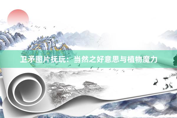 卫矛图片抚玩：当然之好意思与植物魔力